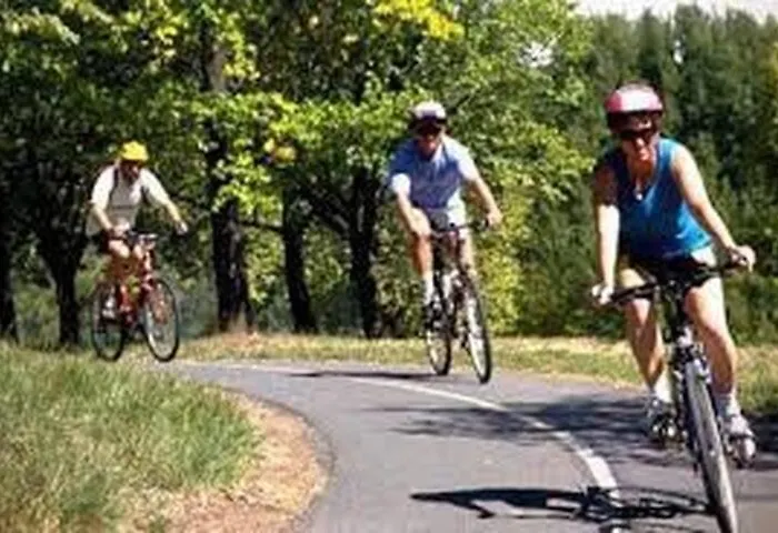 The Mansion Of Dionisos And Dimitras 5 * Linaria (Ilia)