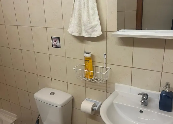 The Mansion Of Dionisos And Dimitras 5